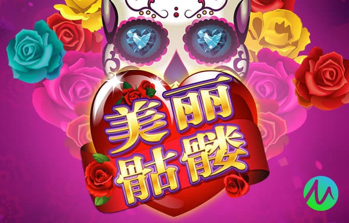 高云体育官网入口